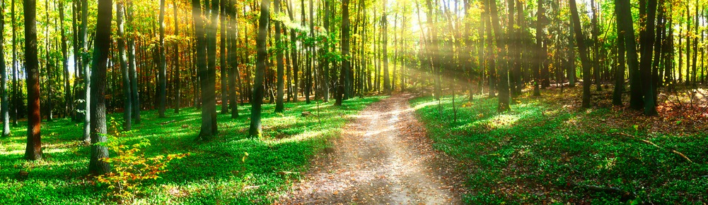 How to Cope with Stress When You Are Already Running on Empty