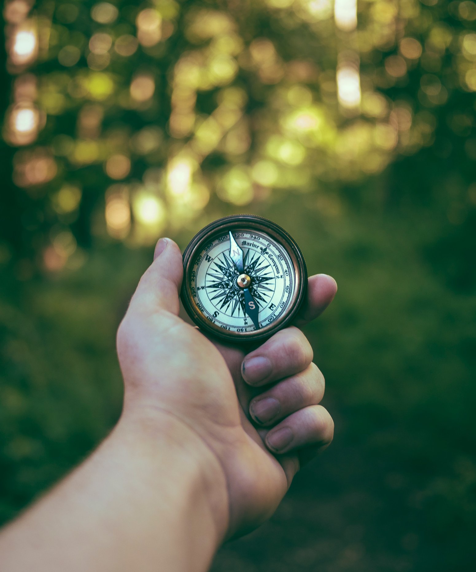 Calm Pacific Northwest nature compass representing the first step toward starting therapy in Washington State